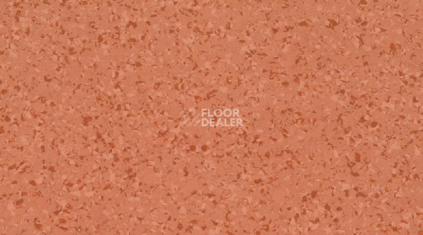 Линолеум Gerflor Mipolam Affinity 4435 Butternut фото 1 | FLOORDEALER